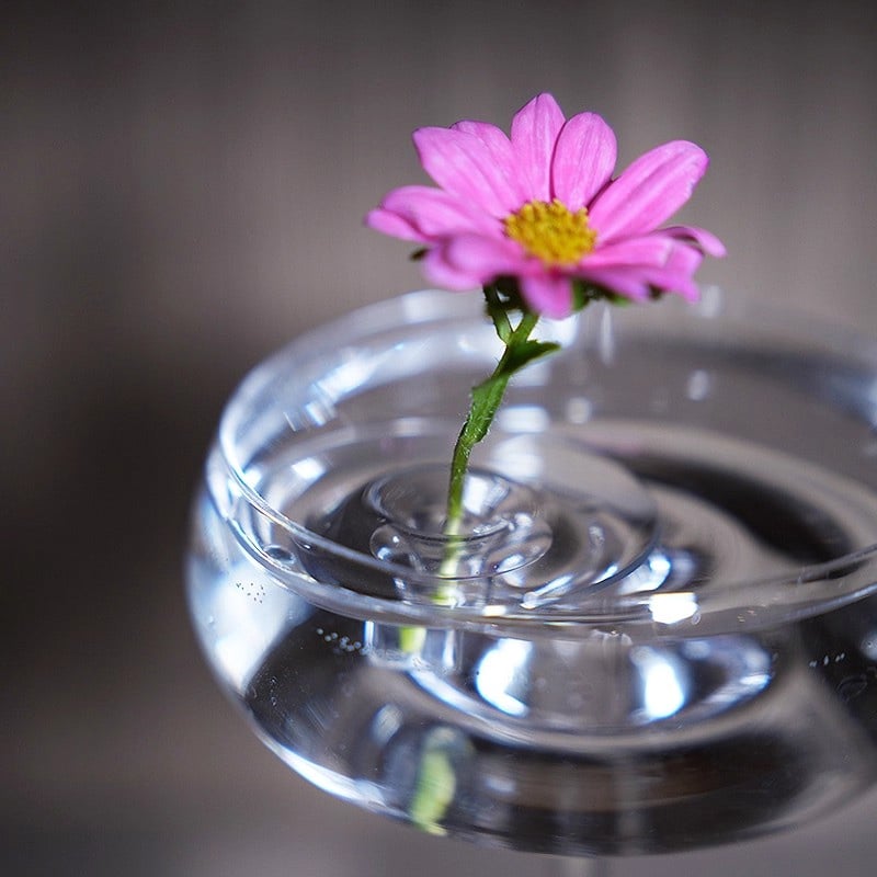 FloraFloat – Soporte flotante para arreglos florales creativos