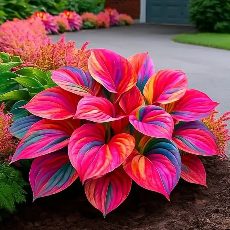 GardenÉlan – Seltene Hosta-Samen für Hausgärten (100 Samen)