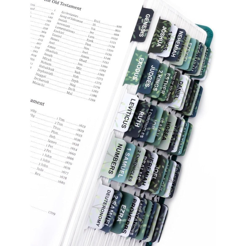 DivineTabs - Der ultimative Bibel-Organizer