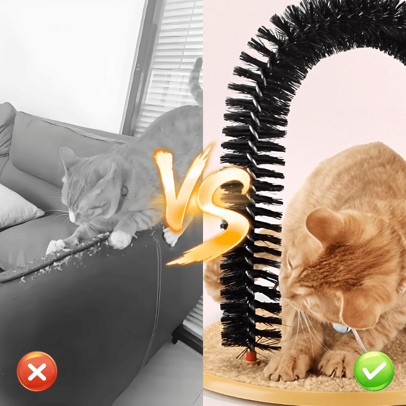 PawArch – Arco rascador curvado para gatos