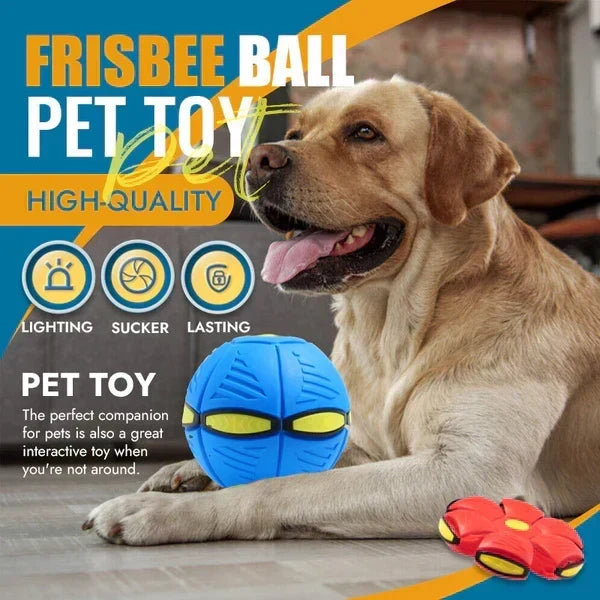¡El mejor juguete interactivo 2 en 1 del mundo para mantener a tu perro entretenido durante horas!
