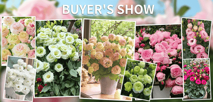 BloomRidge – Semillas de Lisianthus Perennes Resistentes