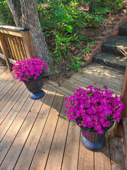 EverBloom – Flores de Petunia Artificiales Resistentes a los Rayos UV