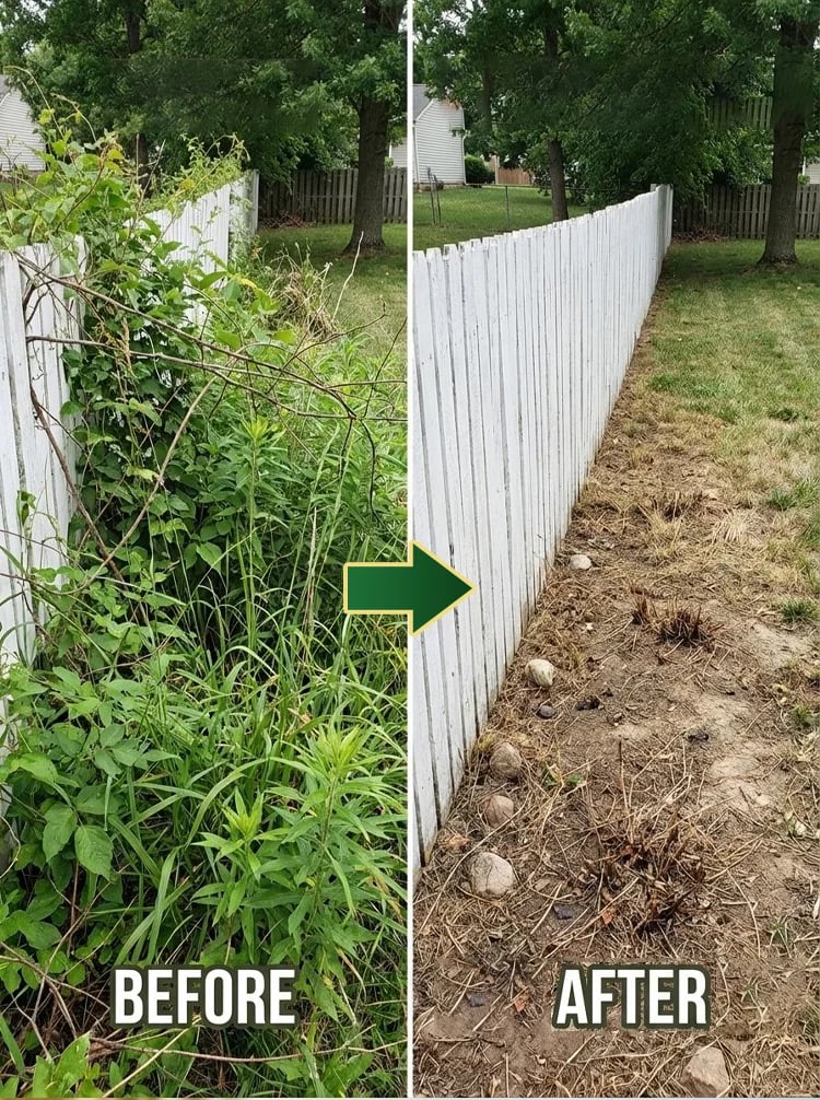 RootRevive – Tratamiento para la Protección Radicular de Jardines