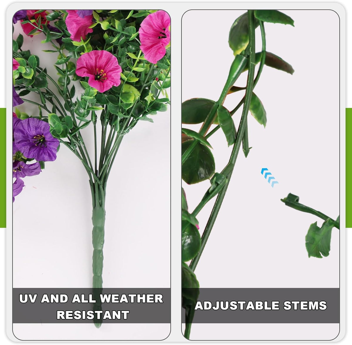 EternaBloom – Pflegefreie Gartenblumen
