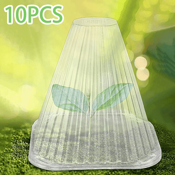 EcoBloom – Cubiertas Reutilizables para Plantas de Invernadero