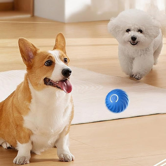 BarkBounce - Interaktiver Spielball für Hunde
