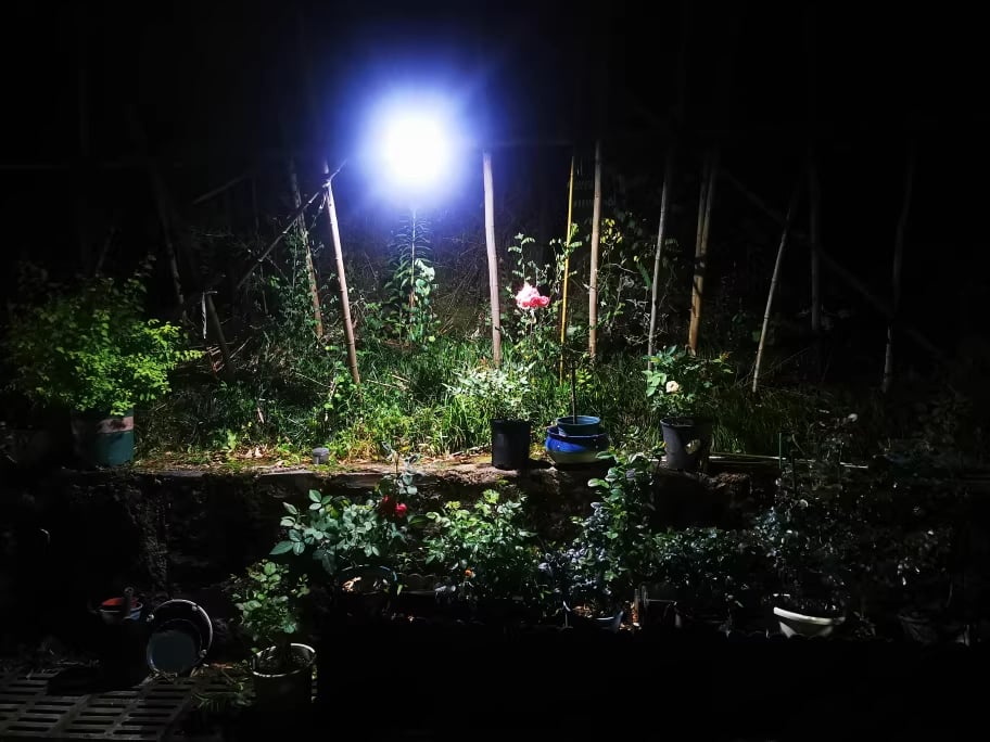 SunSense - Luces solares automáticas con sensor de movimiento para jardín