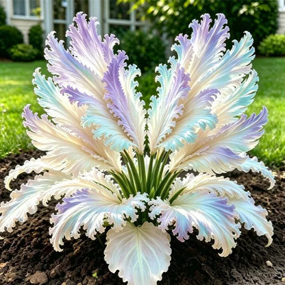 GardenGrace – Swan Feather Funkien-Zwiebelkollektion