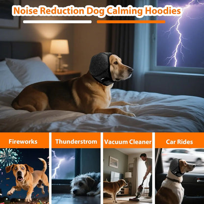 CalmPaw – Beruhigender Ohrenschutz für Hunde