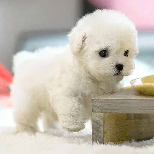 RoboPuppy – Realistischer Roboterwelpe