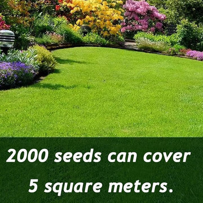 EverLawn – Ganzjahres-Grassaat