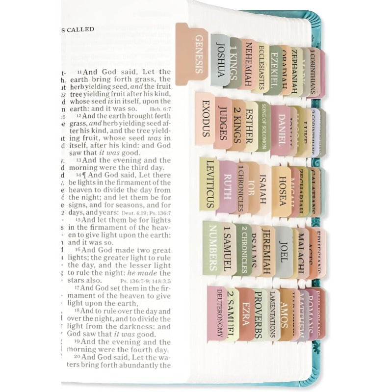 DivineTabs - Der ultimative Bibel-Organizer
