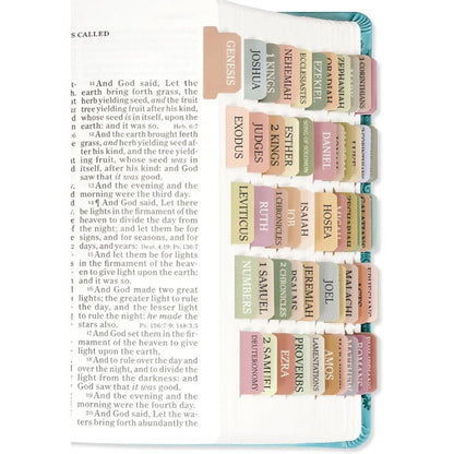 DivineTabs - Der ultimative Bibel-Organizer