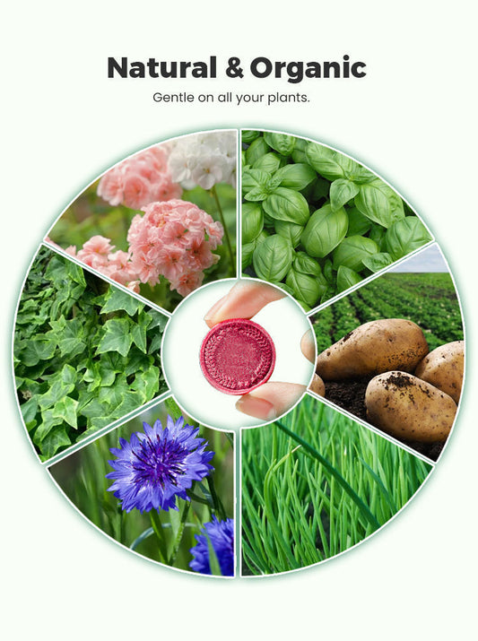 BloomFuel – Pflanzendünger