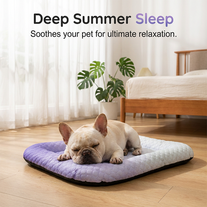 PawChill – Alfombrilla Refrigerante Transpirable para Mascotas