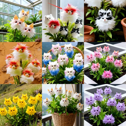 🔥 Verzaubern Sie Ihren Garten! Magische Pflanzen! Schillernde Katzenaugen-Samen! 🌸✨
