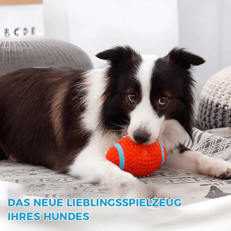 ToughPaw – Robuster Kausball für Hunde