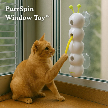 PouncePlay - Emoción de Caza en Interiores