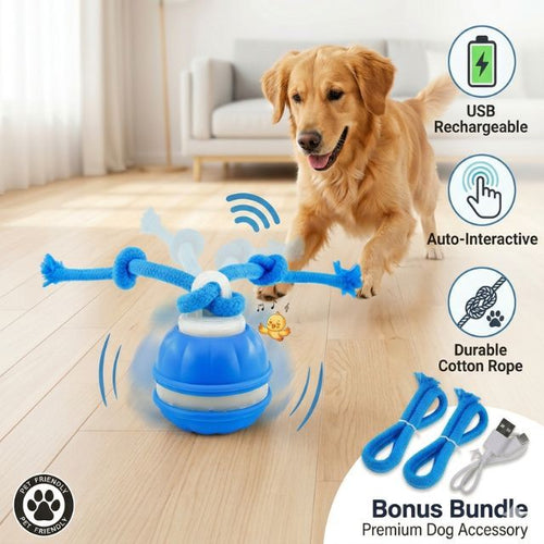 WagRoll – Bewegungsaktivierter Haustierball
