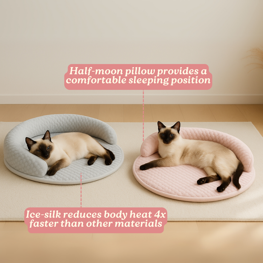 PurrBreeze – Cama Ortopédica para Gatos