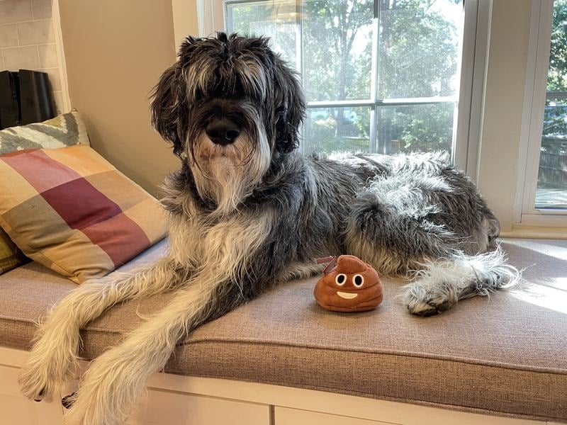 SqueezeBoo – Juguete de Broma de Peluche de Caca