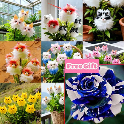 🔥 Verzaubern Sie Ihren Garten! Magische Pflanzen! Schillernde Katzenaugen-Samen! 🌸✨