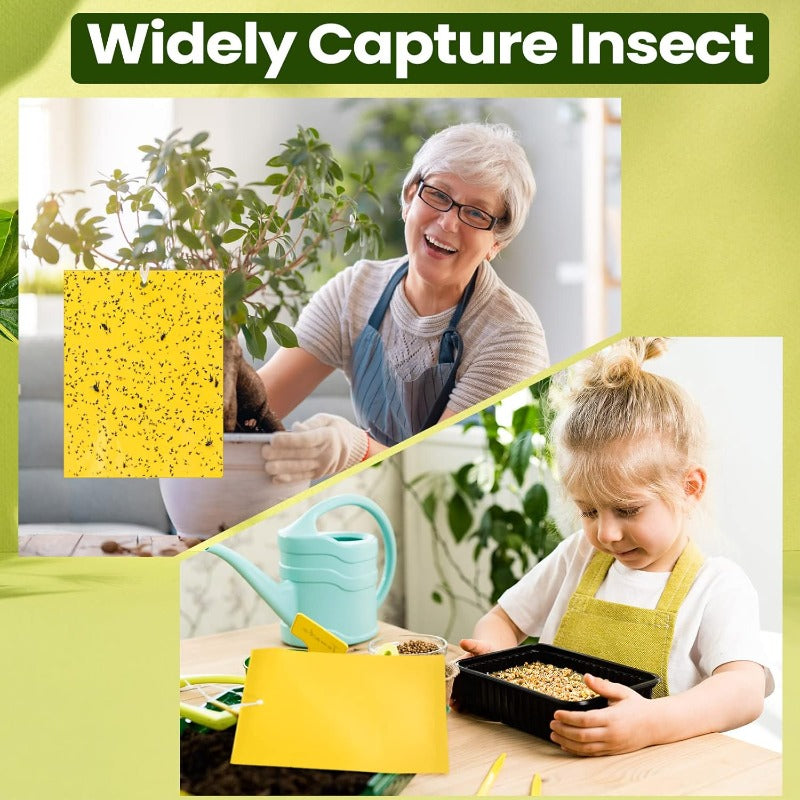 InsectLock – Trampas para plagas ultraadhesivas