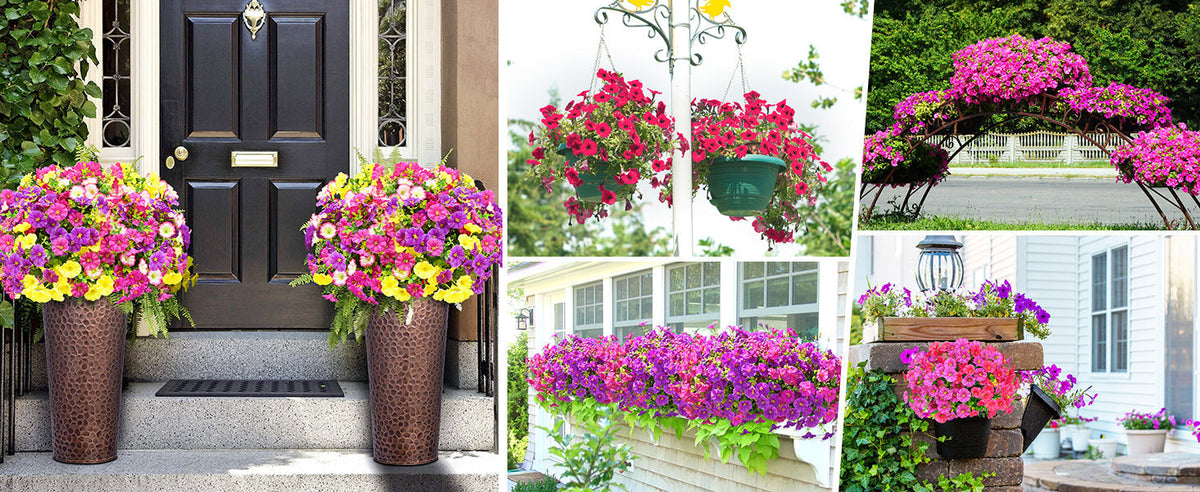 EverBloom – Flores de Petunia Artificiales Resistentes a los Rayos UV