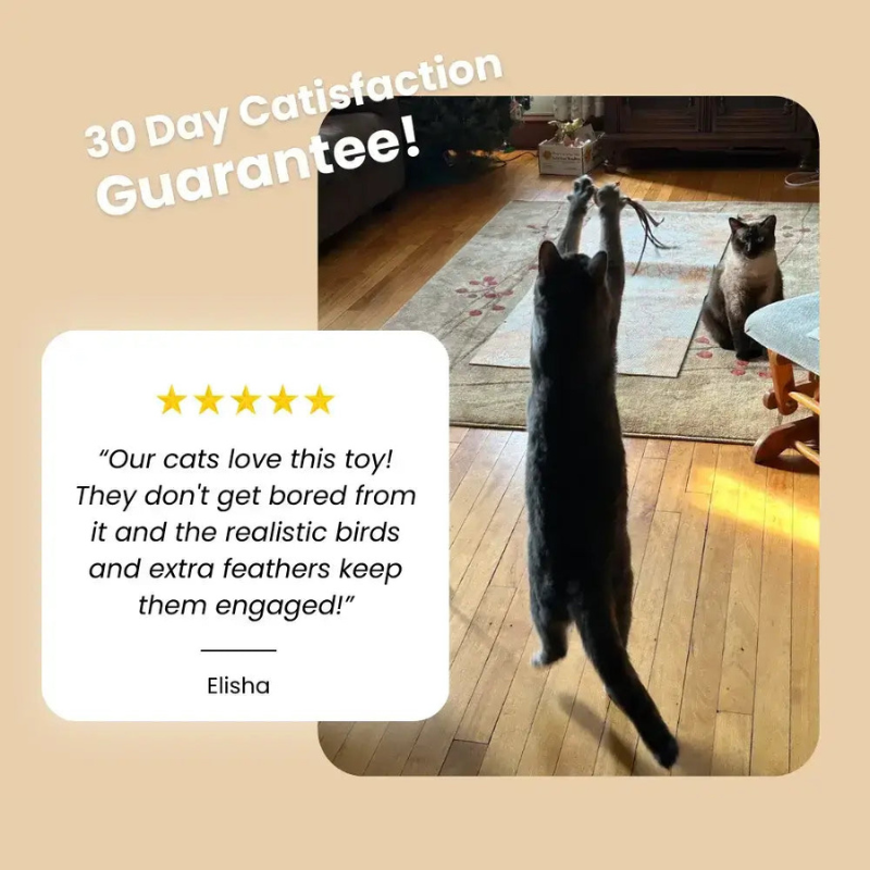 CatVibe – Juego de juguetes interactivos estimulantes