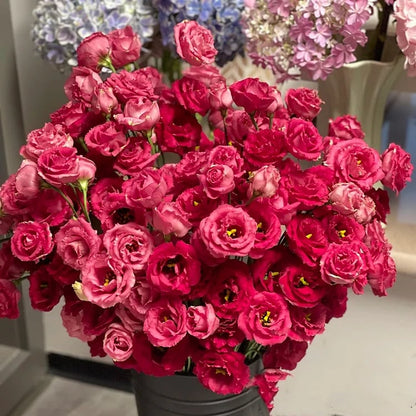 BloomRidge – Semillas de Lisianthus Perennes Resistentes