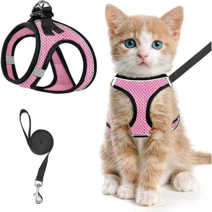 PawFit – Arnés y Correa Ajustable para Mascotas
