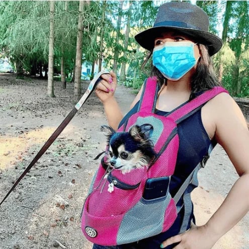 PawStride – Mochila de verano ventilada para mascotas