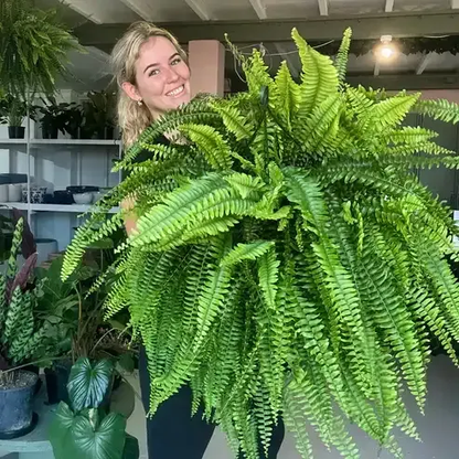 LeafLuxe – Helecho de Boston Artificial Realista con Protección UV
