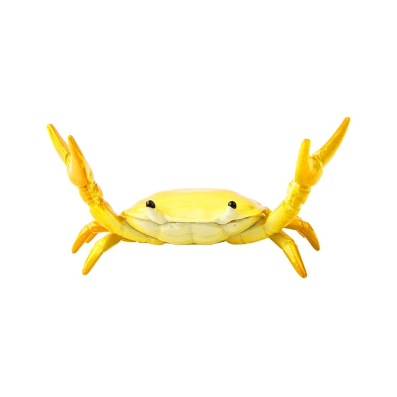 CrabFlex – Soporte de bolígrafo de cangrejo levantapesas