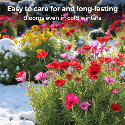 FloraBurst – Colección de semillas de flores perennes mixtas