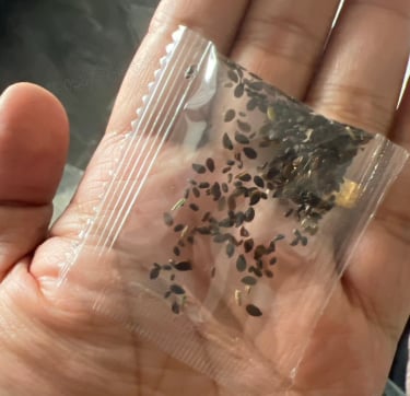 BloomRidge – Semillas de Lisianthus Perennes Resistentes