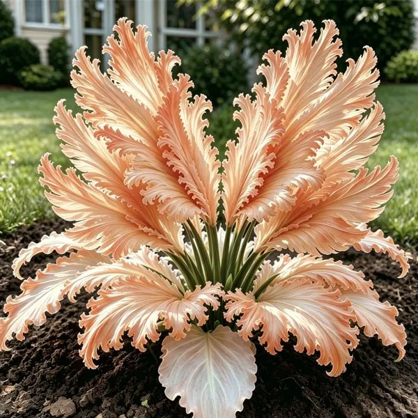 GardenGrace – Swan Feather Funkien-Zwiebelkollektion