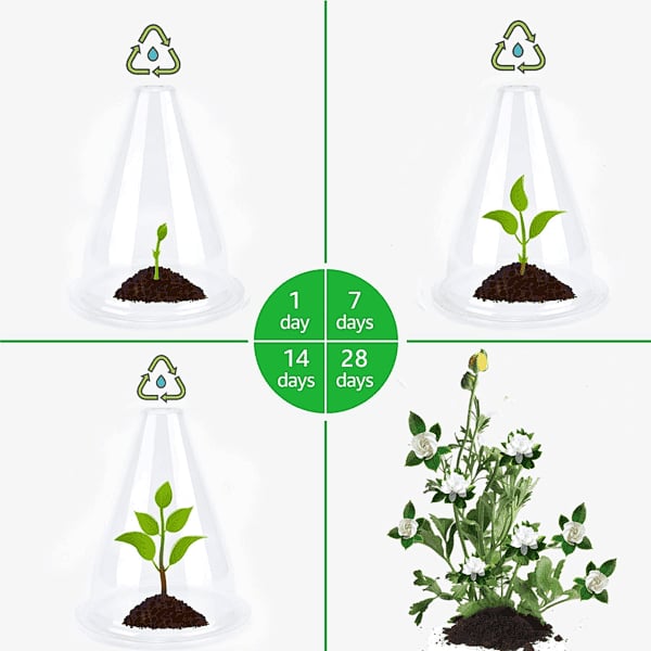 EcoBloom – Cubiertas Reutilizables para Plantas de Invernadero