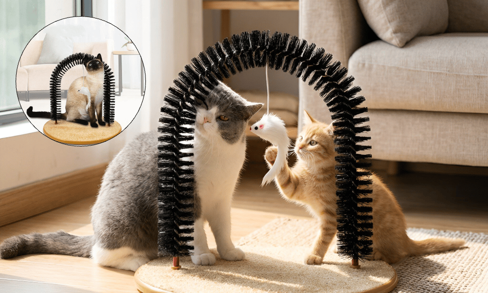 PawArch – Arco rascador curvado para gatos