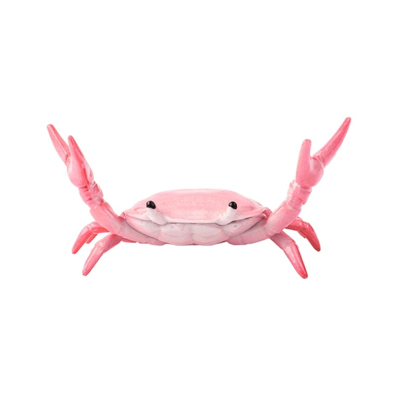 CrabFlex – Soporte de bolígrafo de cangrejo levantapesas