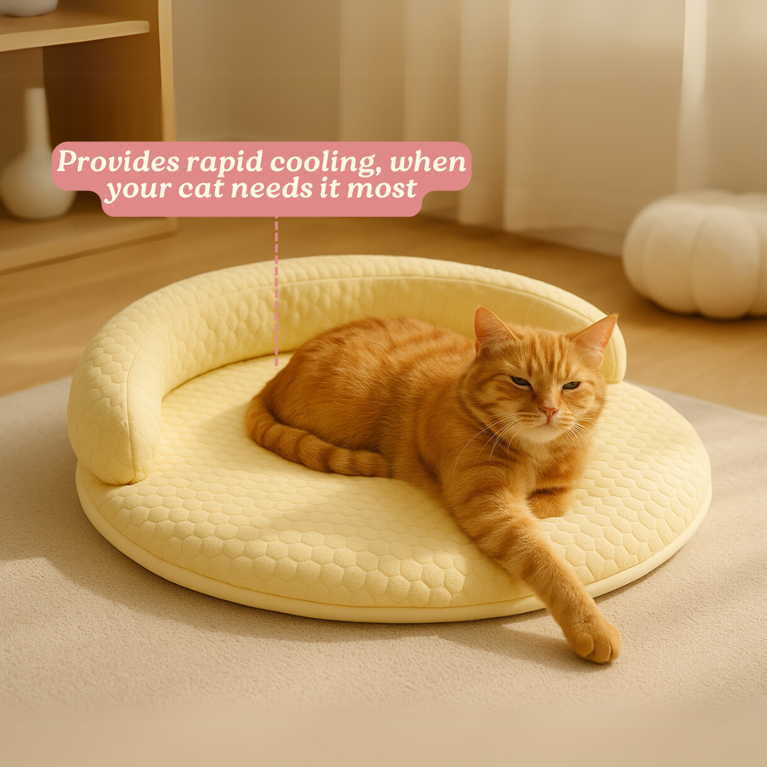 PurrBreeze – Cama Ortopédica para Gatos