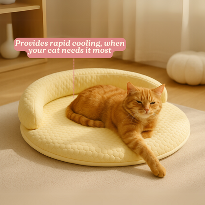 PurrBreeze – Cama Ortopédica para Gatos