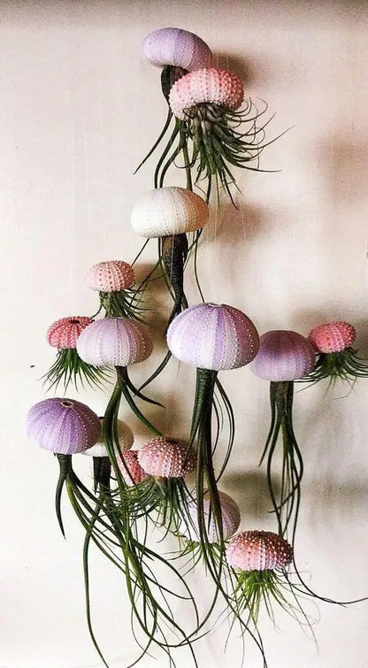 AquaBloom – Medusas de plantas de aire colgantes