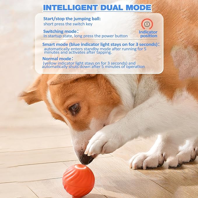 BarkBounce - Pelota interactiva para jugar con perros
