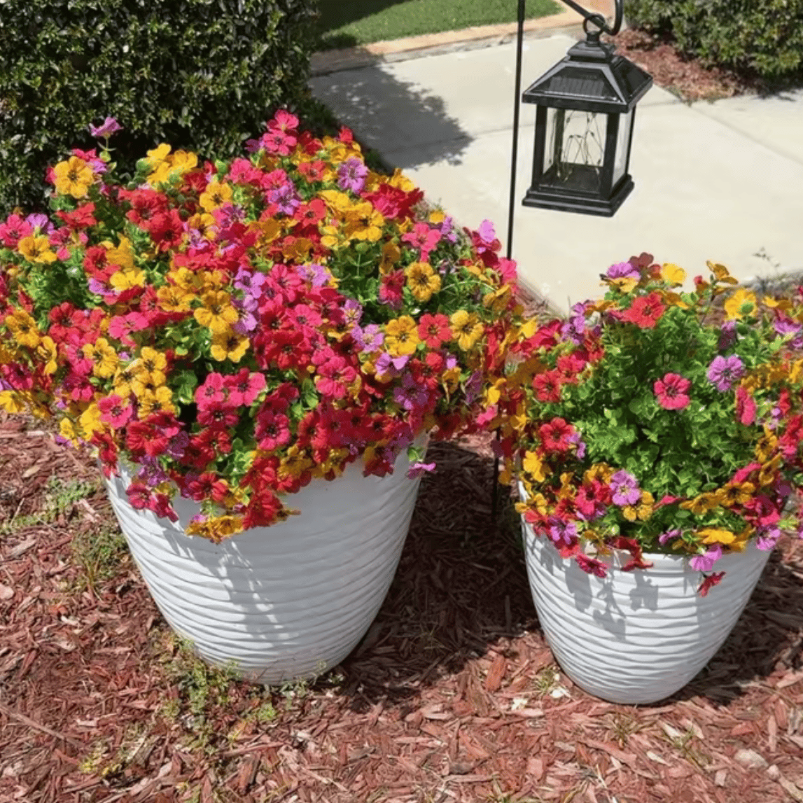 VividPetals – Allwetter-Blumenset