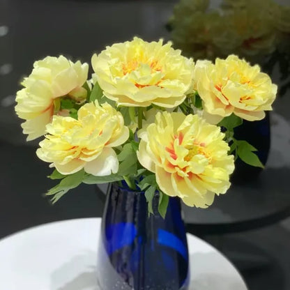 RoyalBloom - Semillas de peonía de lujo | La Reina de las Flores