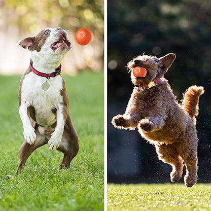 BarkBounce - Pelota interactiva para jugar con perros