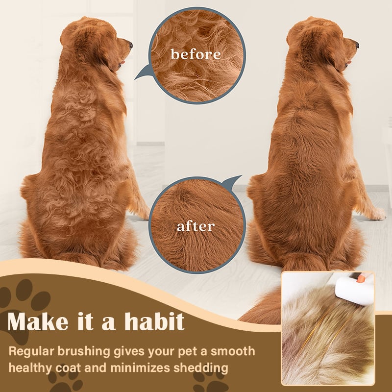 PawGroom – Cepillo y peine para mascotas con autodistrición