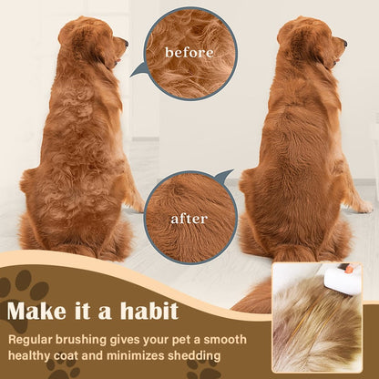 PawGroom – Cepillo y peine para mascotas con autodistrición